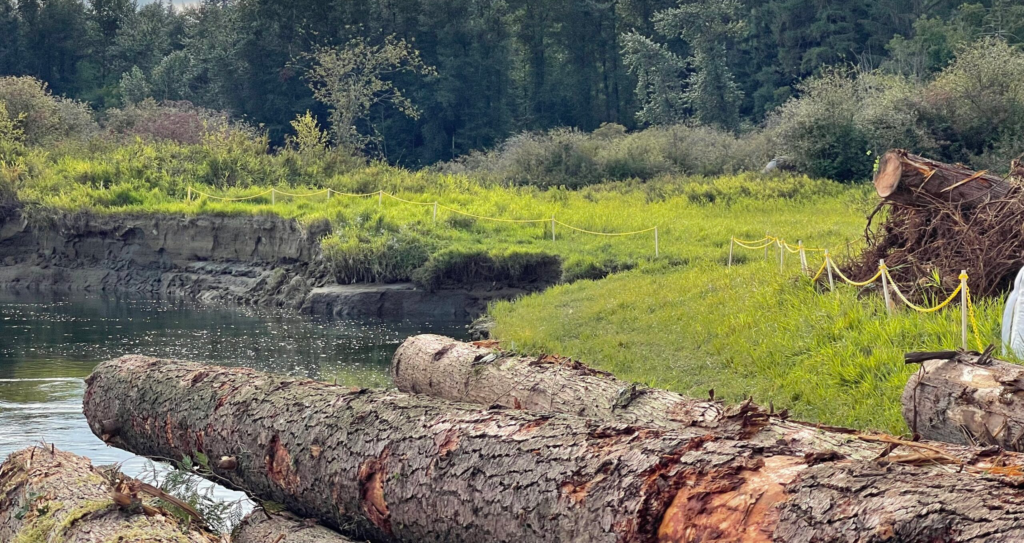 148 - Stave River Erosion Protection (3)